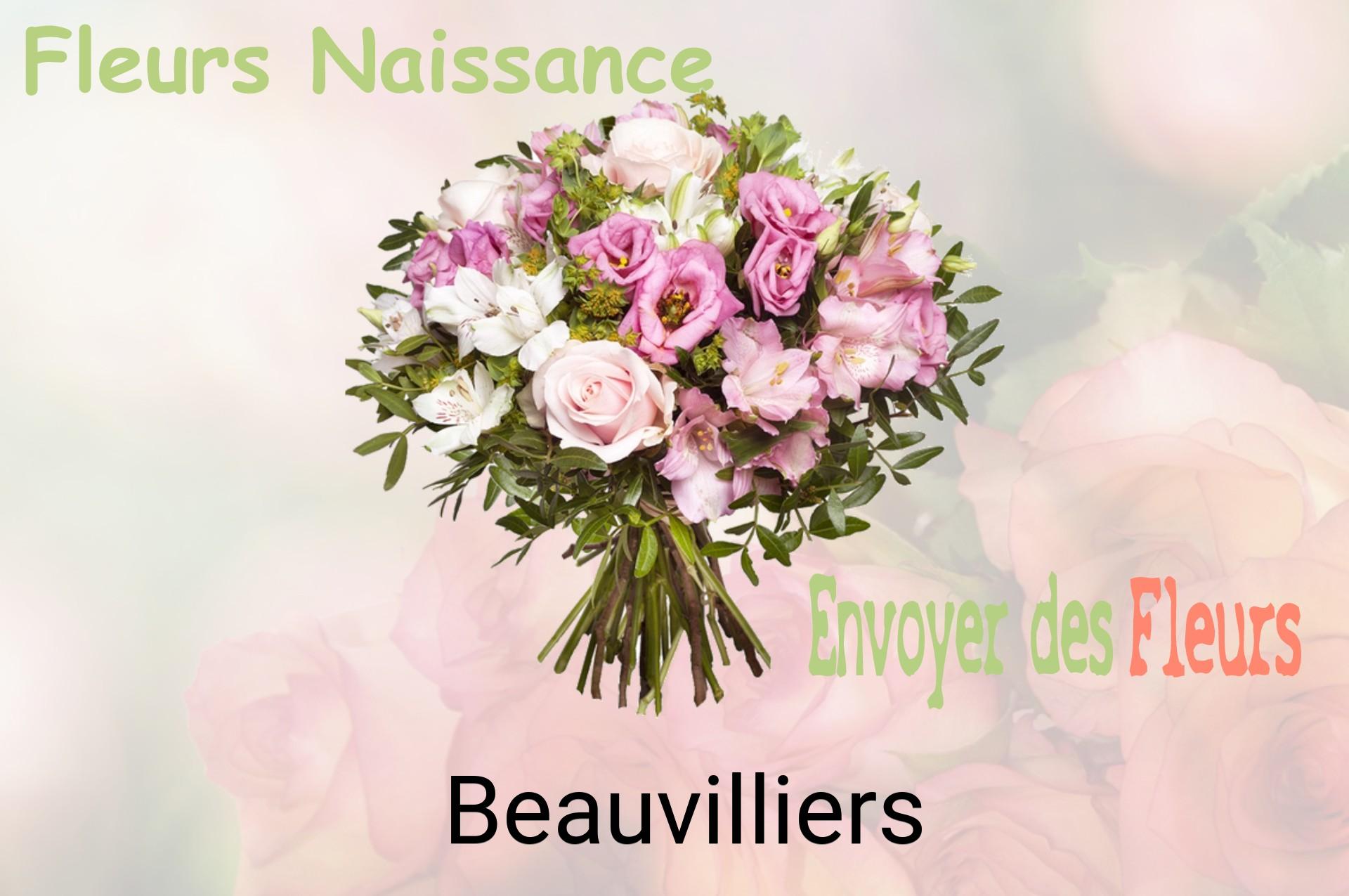 Bouquet de fleurs de naissance livré à Beauvilliers